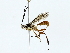  ( - BIOUG77726-B09)  @11 [ ] CreativeCommons - Attribution (2022) CBG Photography Group Centre for Biodiversity Genomics