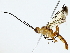  (ichMalaise01 Malaise6073 - BIOUG77726-E10)  @11 [ ] CreativeCommons - Attribution (2022) CBG Photography Group Centre for Biodiversity Genomics