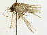  ( - BIOUG77727-C01)  @11 [ ] CreativeCommons - Attribution (2022) CBG Photography Group Centre for Biodiversity Genomics