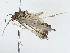  ( - BIOUG80102-F12)  @11 [ ] CreativeCommons - Attribution (2022) CBG Photography Group Centre for Biodiversity Genomics