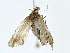  ( - BIOUG85263-C11)  @11 [ ] CreativeCommons - Attribution (2022) CBG Photography Group Centre for Biodiversity Genomics