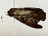  (Mopothila Malaise9394 - BIOUG85263-F01)  @11 [ ] CreativeCommons - Attribution (2022) CBG Photography Group Centre for Biodiversity Genomics
