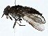  ( - BIOUG85264-A09)  @11 [ ] CreativeCommons - Attribution (2022) CBG Photography Group Centre for Biodiversity Genomics
