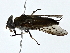  ( - BIOUG85264-A11)  @11 [ ] CreativeCommons - Attribution (2022) CBG Photography Group Centre for Biodiversity Genomics