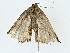  ( - BIOUG85264-B12)  @11 [ ] CreativeCommons - Attribution (2022) CBG Photography Group Centre for Biodiversity Genomics