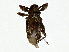  ( - BIOUG85264-H06)  @11 [ ] CreativeCommons - Attribution (2022) CBG Photography Group Centre for Biodiversity Genomics