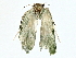  ( - BIOUG85265-D05)  @11 [ ] CreativeCommons - Attribution (2022) CBG Photography Group Centre for Biodiversity Genomics