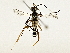  ( - BIOUG85265-H01)  @11 [ ] CreativeCommons - Attribution (2022) CBG Photography Group Centre for Biodiversity Genomics