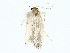  ( - BIOUG85266-B05)  @11 [ ] CreativeCommons - Attribution (2022) CBG Photography Group Centre for Biodiversity Genomics