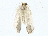  ( - BIOUG85266-C08)  @11 [ ] CreativeCommons - Attribution (2022) CBG Photography Group Centre for Biodiversity Genomics