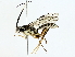  ( - BIOUG85266-E04)  @11 [ ] CreativeCommons - Attribution (2022) CBG Photography Group Centre for Biodiversity Genomics