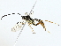  ( - BIOUG85266-F08)  @11 [ ] CreativeCommons - Attribution (2022) CBG Photography Group Centre for Biodiversity Genomics