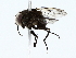 ( - BIOUG85267-C08)  @11 [ ] CreativeCommons - Attribution (2022) CBG Photography Group Centre for Biodiversity Genomics