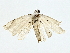  ( - BIOUG85295-F04)  @11 [ ] CreativeCommons - Attribution (2022) CBG Photography Group Centre for Biodiversity Genomics