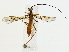 ( - BIOUG85296-C01)  @11 [ ] CreativeCommons - Attribution (2022) CBG Photography Group Centre for Biodiversity Genomics
