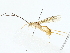  ( - BIOUG85296-C06)  @11 [ ] CreativeCommons - Attribution (2022) CBG Photography Group Centre for Biodiversity Genomics