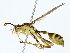  ( - BIOUG85297-B08)  @11 [ ] CreativeCommons - Attribution (2022) CBG Photography Group Centre for Biodiversity Genomics