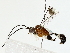  (crypMalaise01 Malaise0824 - BIOUG85297-H05)  @11 [ ] CreativeCommons - Attribution (2022) CBG Photography Group Centre for Biodiversity Genomics