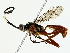  ( - BIOUG85298-E02)  @11 [ ] CreativeCommons - Attribution (2022) CBG Photography Group Centre for Biodiversity Genomics