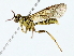  ( - BIOUG85298-E07)  @11 [ ] CreativeCommons - Attribution (2022) CBG Photography Group Centre for Biodiversity Genomics