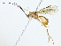  ( - BIOUG85298-E09)  @11 [ ] CreativeCommons - Attribution (2022) CBG Photography Group Centre for Biodiversity Genomics