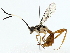  ( - BIOUG85298-F05)  @11 [ ] CreativeCommons - Attribution (2022) CBG Photography Group Centre for Biodiversity Genomics