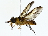  ( - BIOUG85300-E05)  @11 [ ] CreativeCommons - Attribution (2022) CBG Photography Group Centre for Biodiversity Genomics