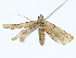  ( - BIOUG85301-A07)  @11 [ ] CreativeCommons - Attribution (2022) CBG Photography Group Centre for Biodiversity Genomics