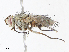  ( - CBG-A08773-C12)  @11 [ ] CreativeCommons - Attribution Share - Alike (2023) CBG Photography Group Centre for Biodiversity Genomics