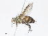  ( - CBG-A08773-E07)  @11 [ ] CreativeCommons - Attribution Share - Alike (2023) CBG Photography Group Centre for Biodiversity Genomics