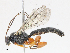  ( - CBG-A08773-F05)  @11 [ ] CreativeCommons - Attribution Share - Alike (2023) CBG Photography Group Centre for Biodiversity Genomics