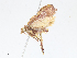  ( - CBG-A08773-F07)  @11 [ ] CreativeCommons - Attribution Share - Alike (2023) CBG Photography Group Centre for Biodiversity Genomics