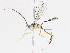  ( - CBG-A13217-E04)  @11 [ ] CreativeCommons - Attribution Share - Alike (2023) CBG Photography Group Centre for Biodiversity Genomics