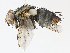  ( - CBG-A13217-E11)  @11 [ ] CreativeCommons - Attribution Share - Alike (2023) CBG Photography Group Centre for Biodiversity Genomics
