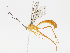  ( - CBG-A13217-F06)  @11 [ ] CreativeCommons - Attribution Share - Alike (2023) CBG Photography Group Centre for Biodiversity Genomics