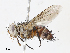  ( - CBG-A13218-C08)  @11 [ ] CreativeCommons - Attribution Share - Alike (2023) CBG Photography Group Centre for Biodiversity Genomics