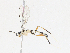  ( - CBG-A13218-D03)  @11 [ ] CreativeCommons - Attribution Share - Alike (2023) CBG Photography Group Centre for Biodiversity Genomics