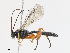  ( - CBG-A13218-E01)  @11 [ ] CreativeCommons - Attribution Share - Alike (2023) CBG Photography Group Centre for Biodiversity Genomics