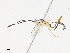  ( - CBG-A13218-F07)  @11 [ ] CreativeCommons - Attribution Share - Alike (2023) CBG Photography Group Centre for Biodiversity Genomics