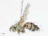  ( - CBG-A13218-G02)  @11 [ ] CreativeCommons - Attribution Share - Alike (2023) CBG Photography Group Centre for Biodiversity Genomics