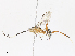  ( - CBG-A13219-B06)  @11 [ ] CreativeCommons - Attribution Share - Alike (2023) CBG Photography Group Centre for Biodiversity Genomics
