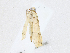  ( - CBG-A21611-E04)  @11 [ ] CreativeCommons - Attribution Share-Alike (2023) CBG Photography Group Centre for Biodiversity Genomics