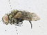  ( - CBG-A21611-F10)  @11 [ ] CreativeCommons - Attribution Share-Alike (2023) CBG Photography Group Centre for Biodiversity Genomics