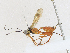  ( - CBG-A21612-D03)  @11 [ ] CreativeCommons - Attribution Share-Alike (2023) CBG Photography Group Centre for Biodiversity Genomics