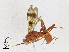  ( - CBG-A21612-E04)  @11 [ ] CreativeCommons - Attribution Share-Alike (2023) CBG Photography Group Centre for Biodiversity Genomics