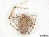  ( - CBG-A21612-H07)  @11 [ ] CreativeCommons - Attribution (2023) CBG Photography Group Centre for Biodiversity Genomics