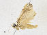  ( - CBG-A21613-E08)  @11 [ ] CreativeCommons - Attribution Share-Alike (2023) CBG Photography Group Centre for Biodiversity Genomics