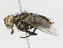  ( - CBG-A21615-C04)  @11 [ ] CreativeCommons - Attribution Share - Alike (2023) CBG Photography Group Centre for Biodiversity Genomics