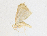  ( - CBG-A21615-D05)  @11 [ ] CreativeCommons - Attribution Share - Alike (2023) CBG Photography Group Centre for Biodiversity Genomics