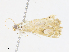  ( - CBG-A08796-D01)  @11 [ ] CreativeCommons - Attribution Share - Alike (2023) CBG Photography Group Centre for Biodiversity Genomics